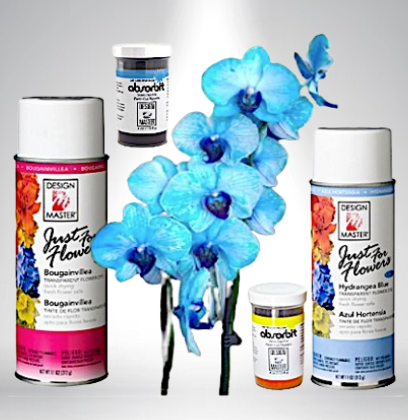 Paint, Protectors & Dyes