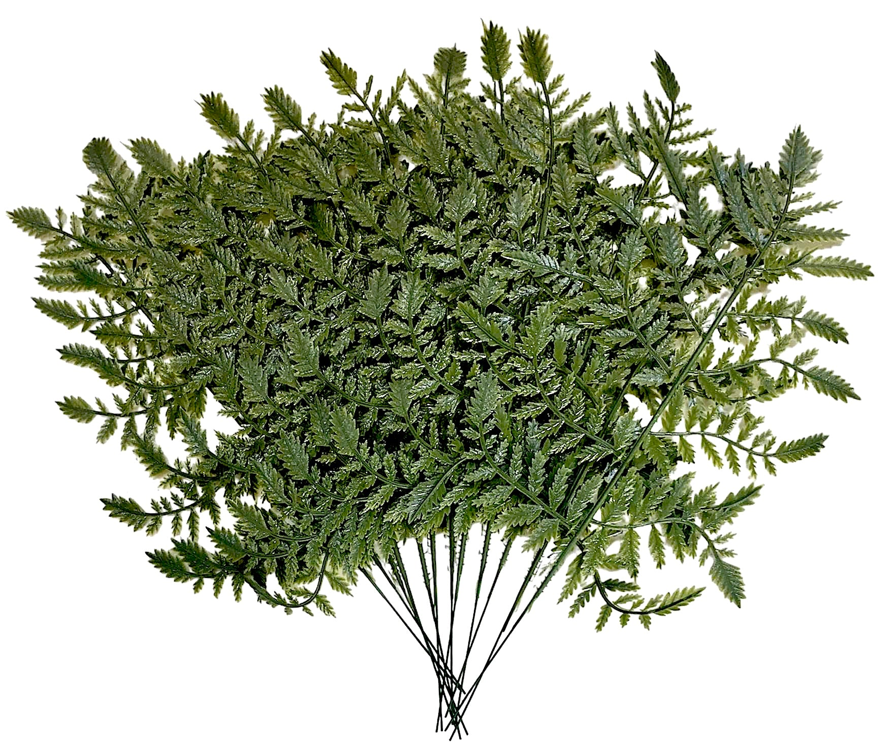 Vinyl Leather Leaf Fern