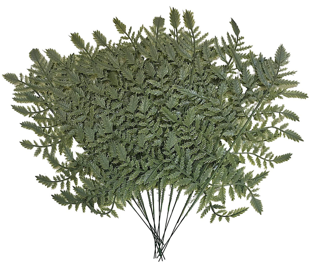 Vinyl Leather Leaf Fern