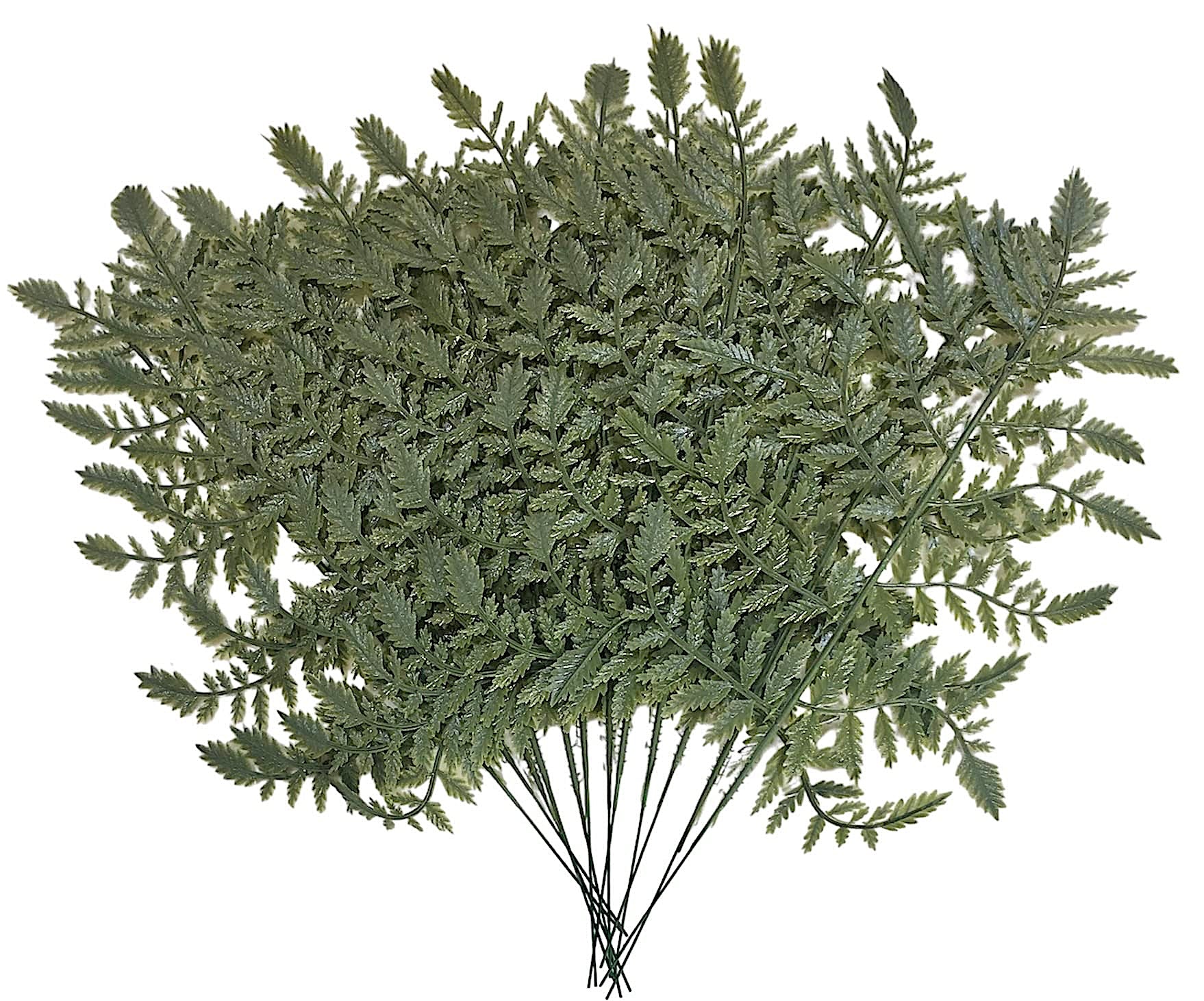 Vinyl Leather Leaf Fern