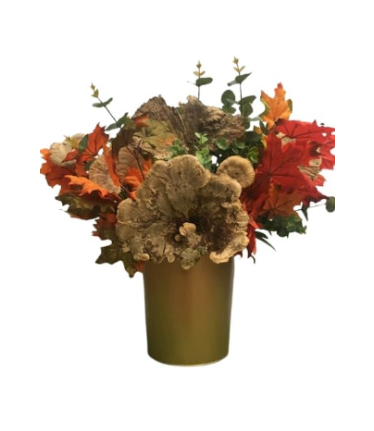 20"  Dried Moss Lotus Pods
