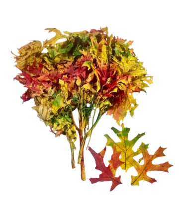 24" Dried Preserved Leaves