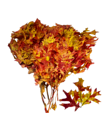 24" Dried Preserved Leaves