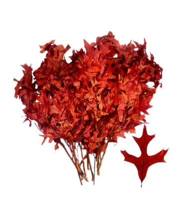 24" Dried Preserved Leaves