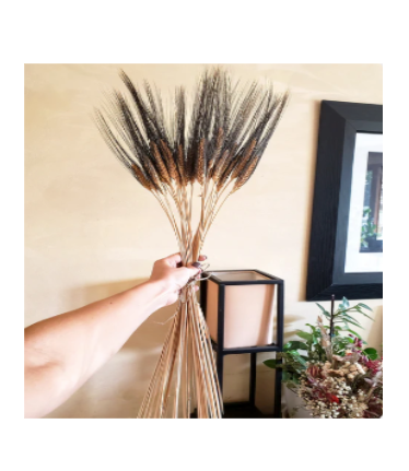 36" Preserved Wheat Stems