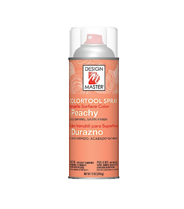 Flower Color Spray~Orange