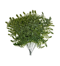 Vinyl Leather Leaf Fern (Copy)