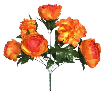 Peony Hydrangea X7 Bush 20"
