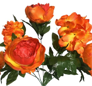 Peony Hydrangea X7 Bush 20"