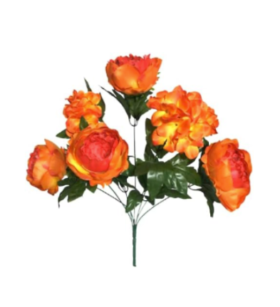 Peony Hydrangea X7 Bush 20"