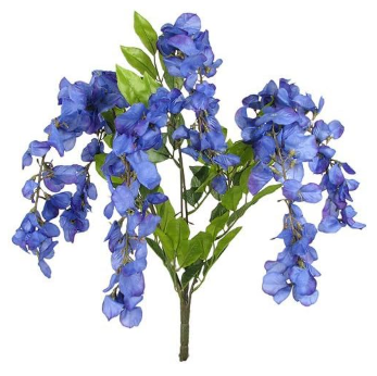 Sweet Pea X7 Bush 20" Bush