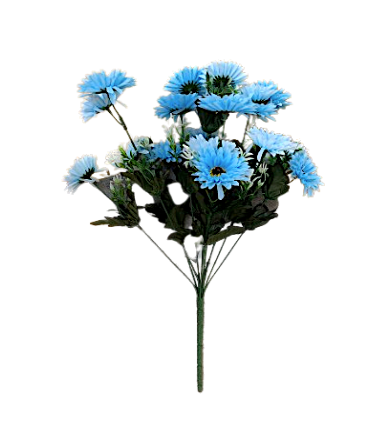 Chrysanthemum Daisy x7 Bush