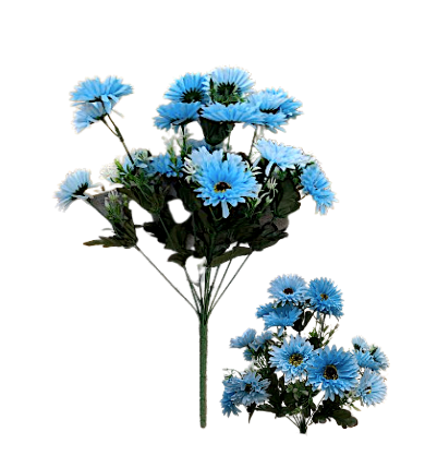 Chrysanthemum Daisy x7 Bush