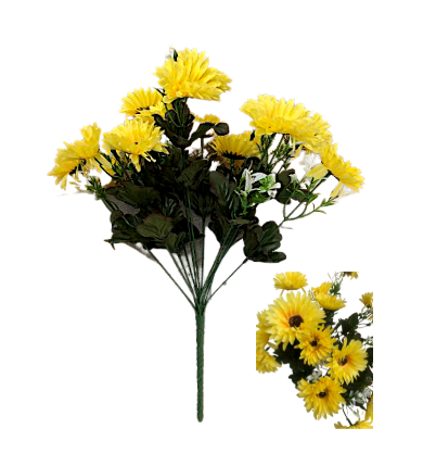 Chrysanthemum Daisy x7 Bush