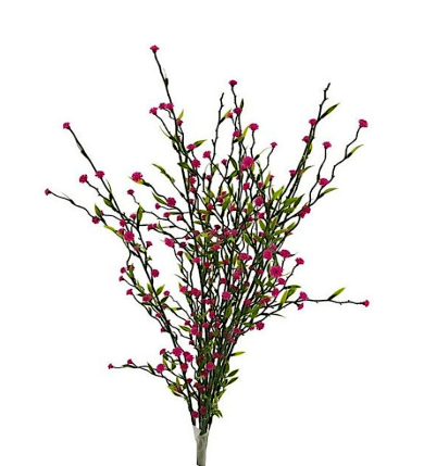 Forget Me Not x7 Bush 16"
