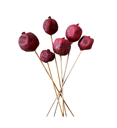 14" Pomegranate Red Stems