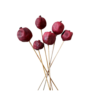 14" Pomegranate Red Stems