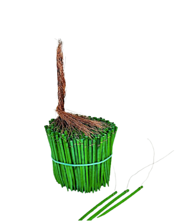 Wired Wood Picks 4" - 7"