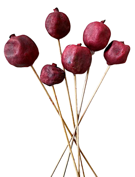 14" Pomegranate Red Stems