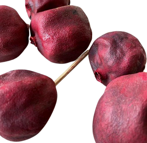 14" Pomegranate Red Stems