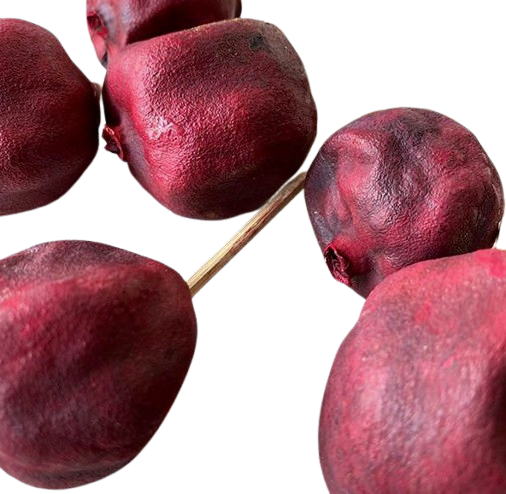 14" Pomegranate Red Stems