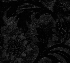 Waxed Floral Foil Wrap