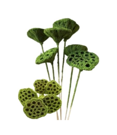 20" Dried Lotus Pods Stems