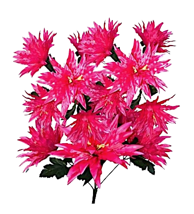 Sweet Mollie Starburst Silk Bush