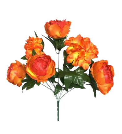 Peony Hydrangea X7 Bush 20"
