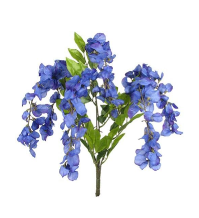 Sweet Pea X7 Bush 20" Bush
