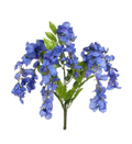 Sweet Pea X7 Bush 20" Bush