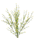 Forget Me Not x7 Bush 16"