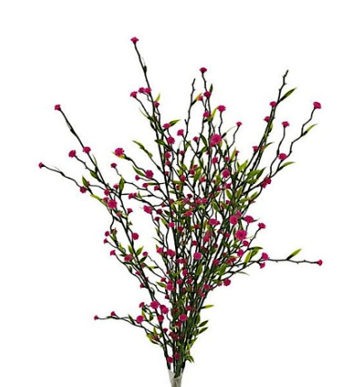 Forget Me Not x7 Bush 16"